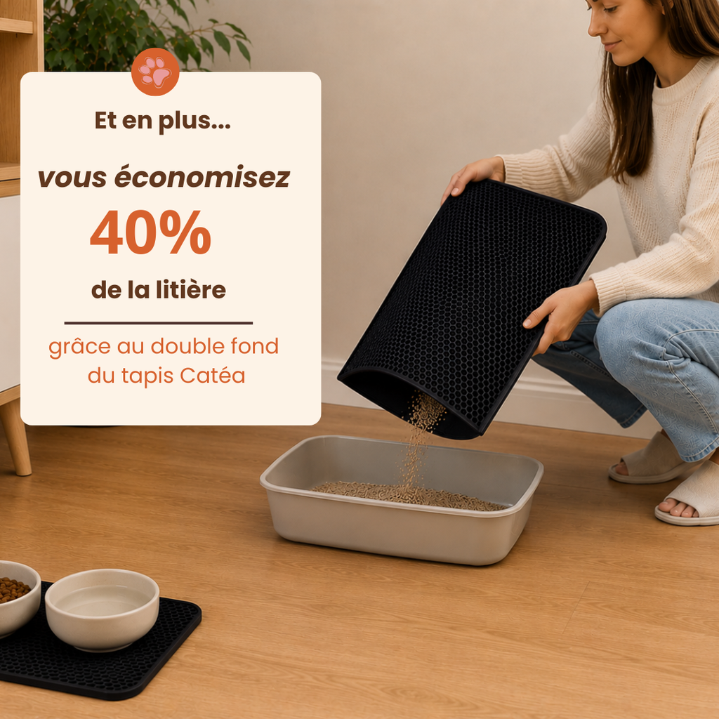 Tapis litière