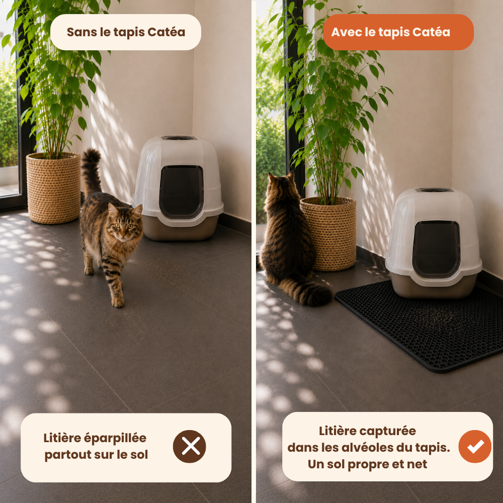 Tapis litière